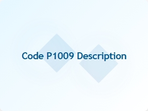 Code P1009 Definition and Explanation