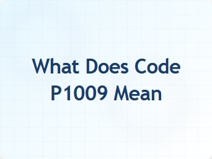 What Does Code P1009 Mean