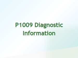 P1009 Error Causes and Diagnostic Information
