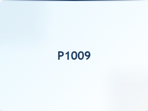 Meaning of Code P1009 and Repair Solutions