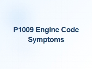 P1009 Engine Code Symptoms Diagnosis