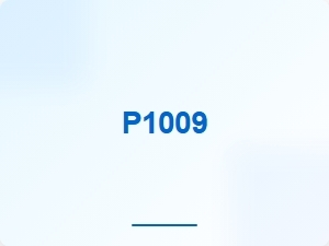 P1009 Vehicle Diagnostic Trouble Code Symptoms